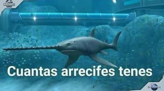 El pez luna: no tengo cabeza wey - meme