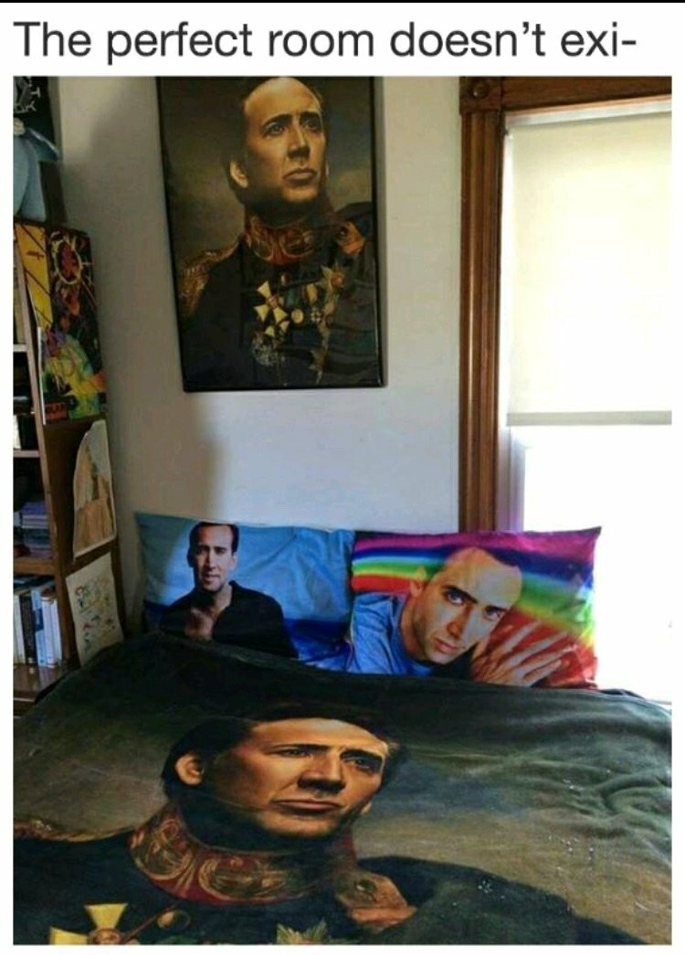 Are Nicholas cage and Adam Sandler the same person? - meme