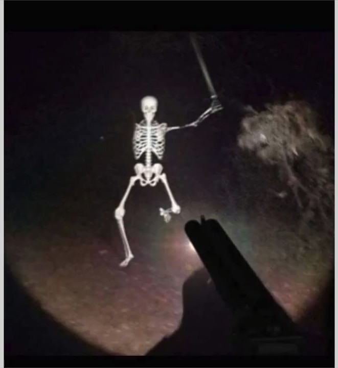 Skeleton makes a valiant last stand against shotgun wielding fuckboy 2018 colorized - meme