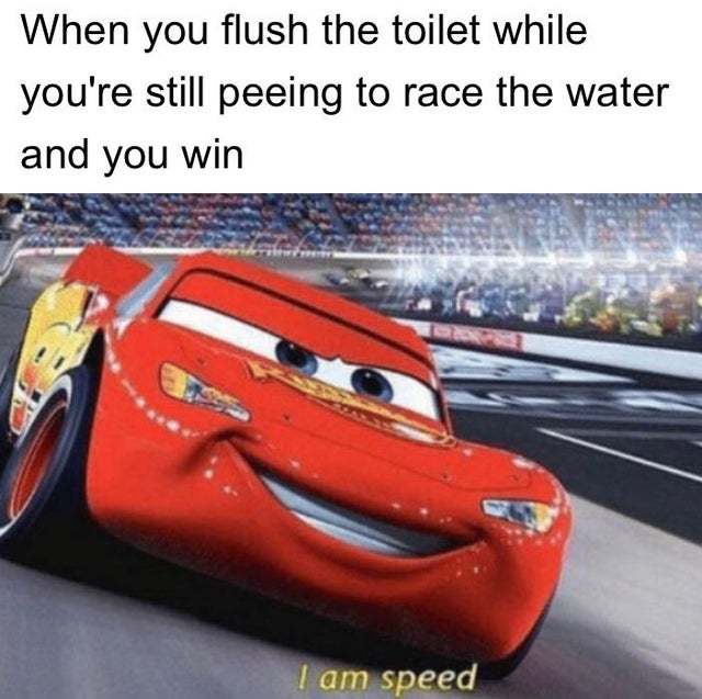 When you flush the toilet while you're still peeing to race the water and you win - meme