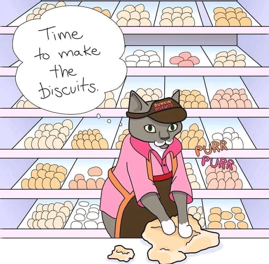 Kitty kneads biscuits - meme