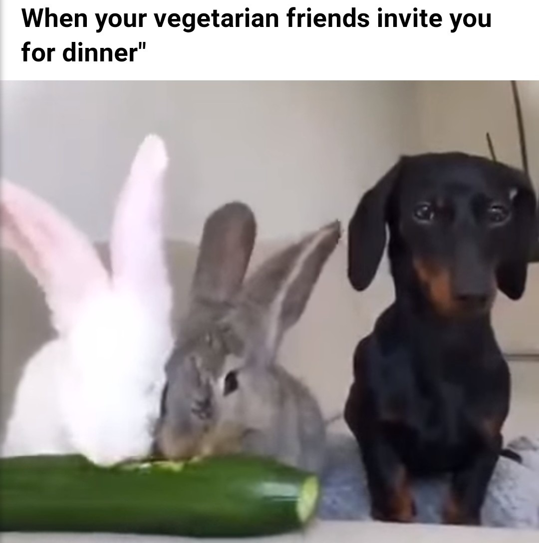 Vegan "friend" - meme