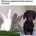 Vegan "friend"
