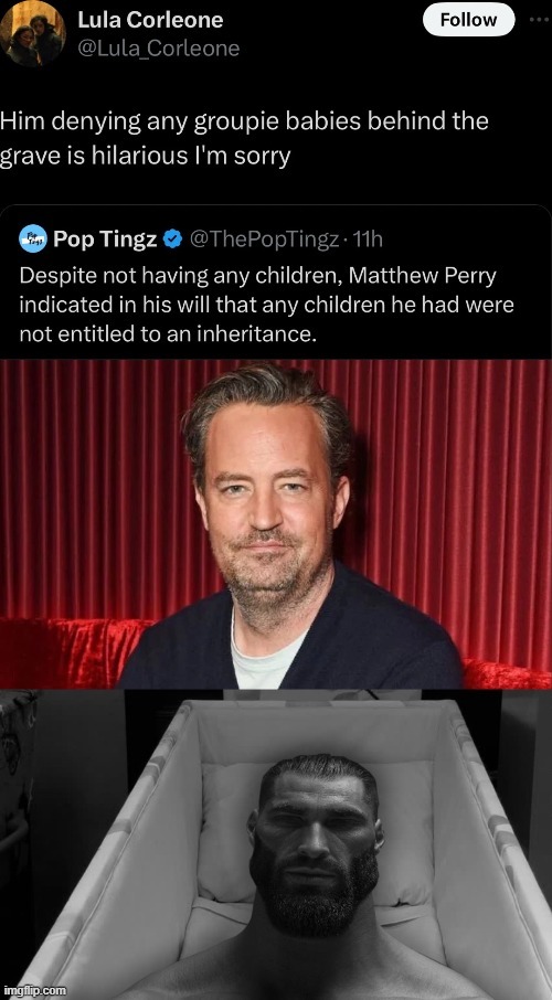 Matthew Perry inheritance meme