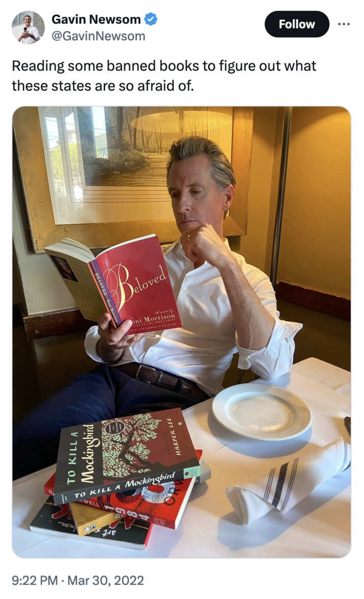 Gavin Newsom banned books meme