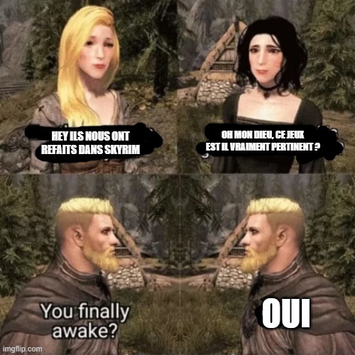je viens de commencer Skyrim pour la premières fois - meme