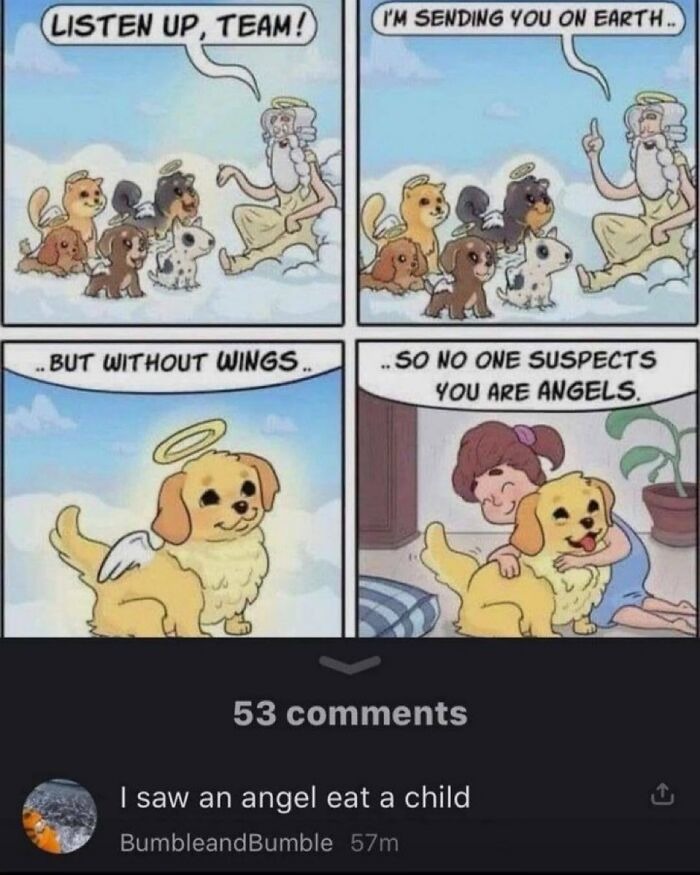 ﻿Listen Up  TEaM! Tm Sending YOU On Earth_ But Without Wings So no One SUSPECTS YOU Are anGelS 53 comments I saw an angel eat a child BumbleandBumble 57m