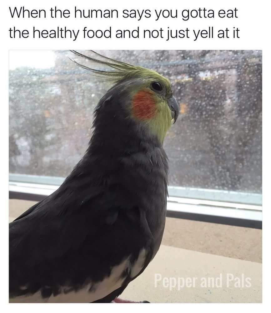 Pepper and pals - meme