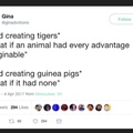 tiger vs guinea pig cage match