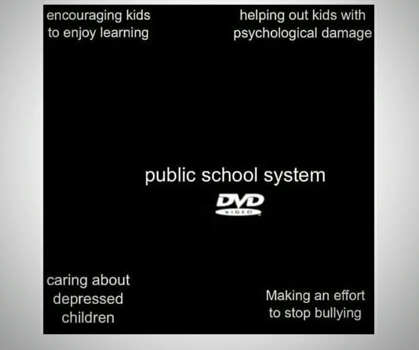 Fuck the school system - meme