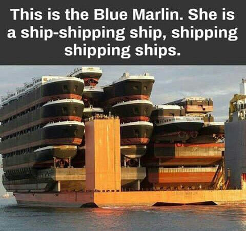 Wonder if there a smaller ships in each one? - meme