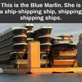 Wonder if there a smaller ships in each one?