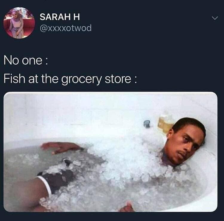 Fish at grocery be like ... - meme