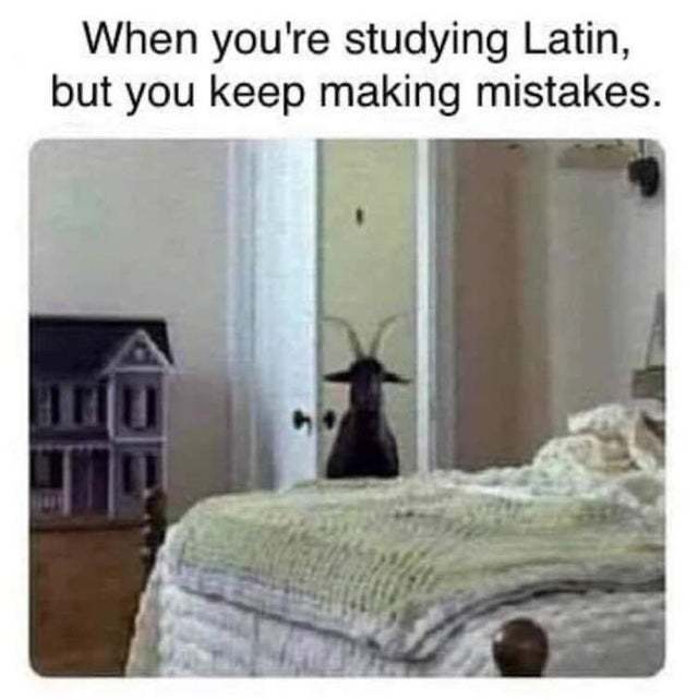 When you're studying Latin but you keep making mistakes - meme