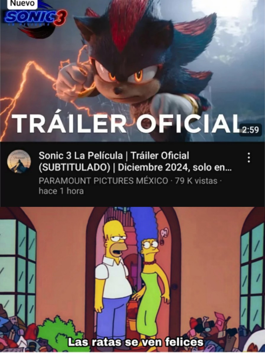 Sonicbodrio - meme