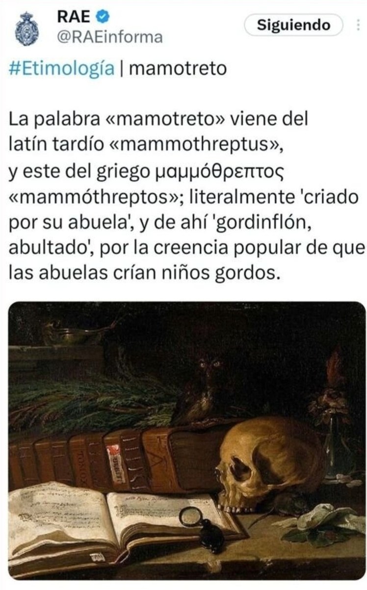 Mamotreto: palabra gorda y con historia - meme