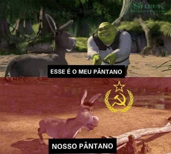 Hoje percebi q pareço esses filhotes do burro do Shrek, metade burro metade  dragão. - iFunny Brazil