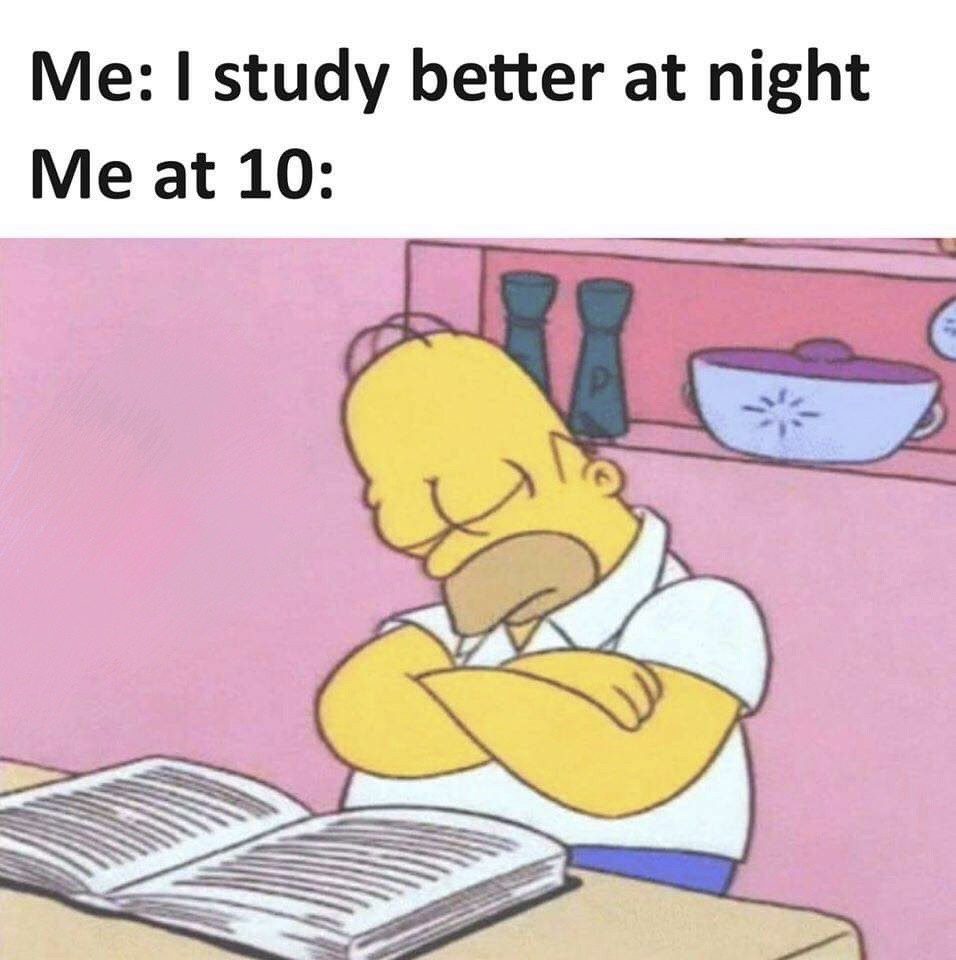 I study at night - meme