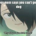 Mom says no dog meme