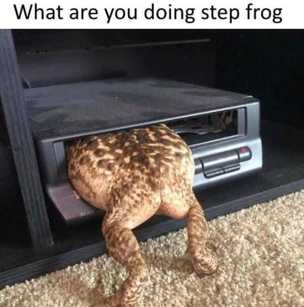 Step frog stop! - meme