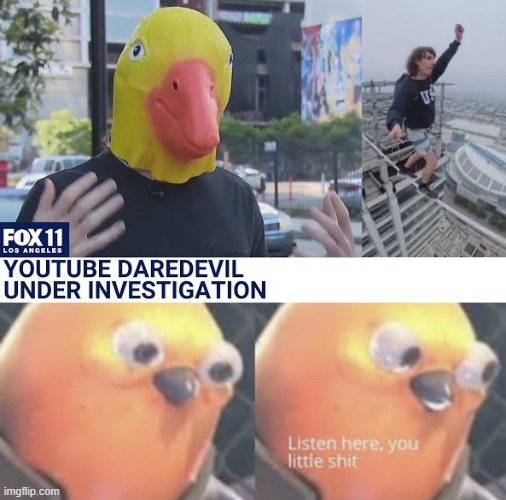 YouTube daredevil used a duck mask to evade police - meme