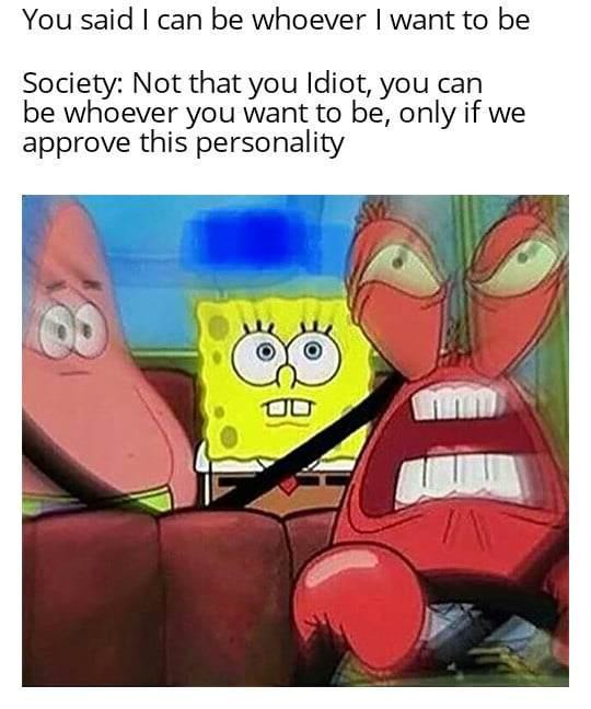 You can't e whoever you want to be - meme