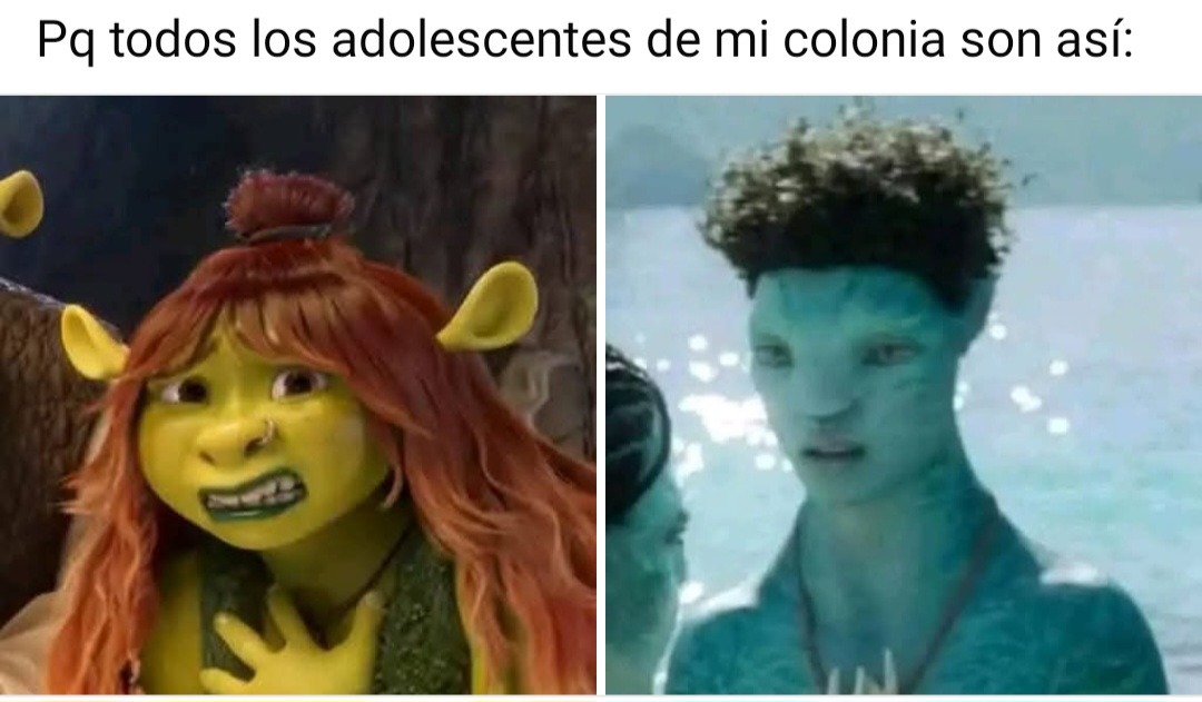 Si - meme