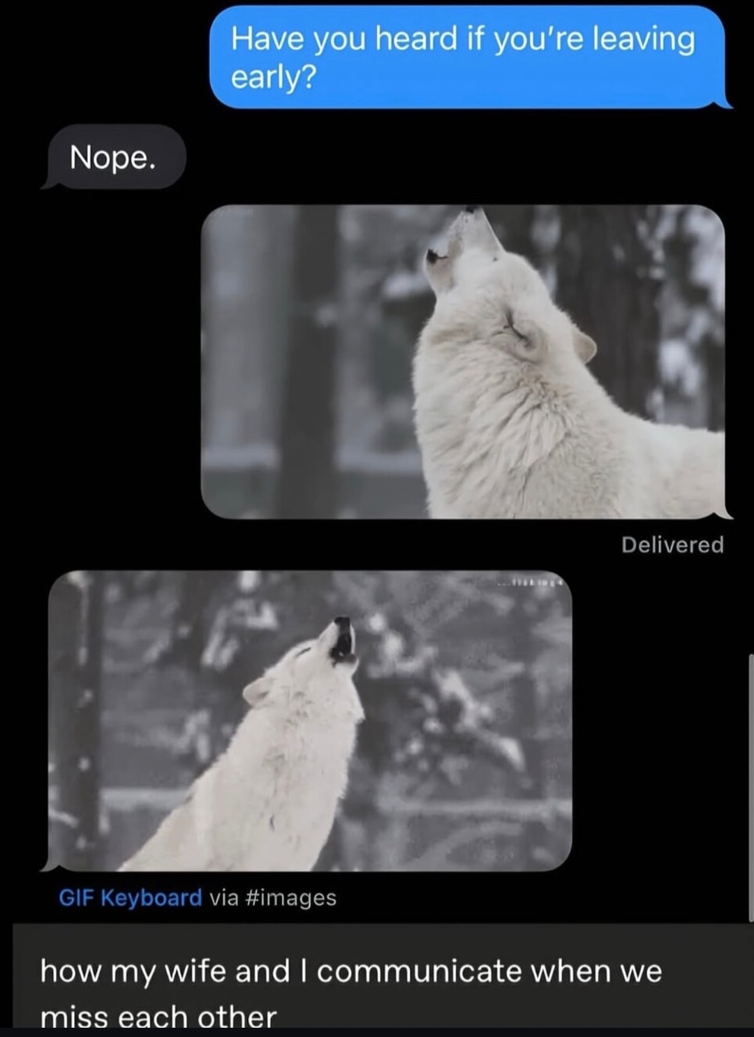 Our love language is iMessage gifs and disappearing mid-shift - meme