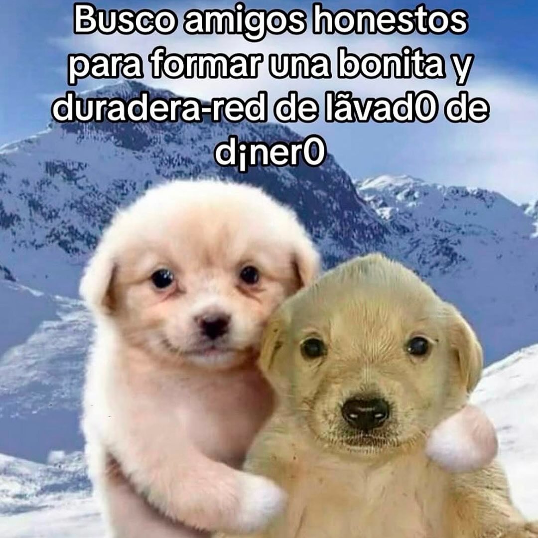 busco amigos honestos para maratón y ahorrar dinero - meme