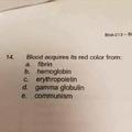 Blood acquires its red color from communism