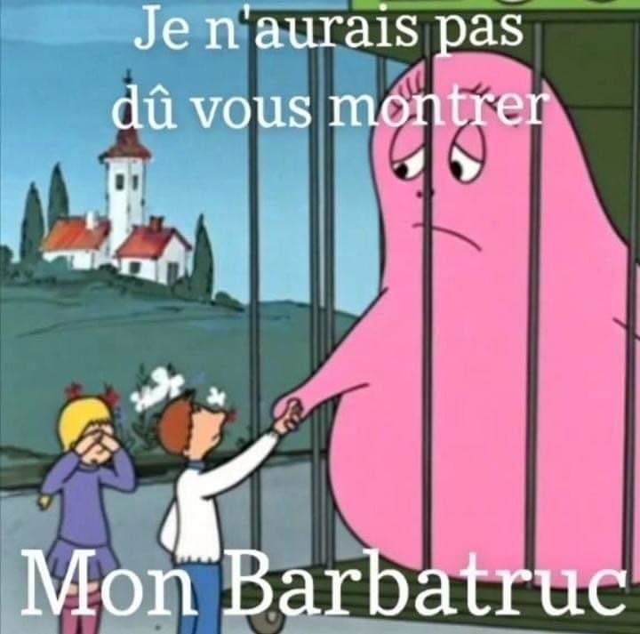 Barbapape - meme