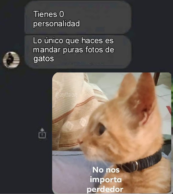 LOS MICHIS SIEMPRE GANAN - meme