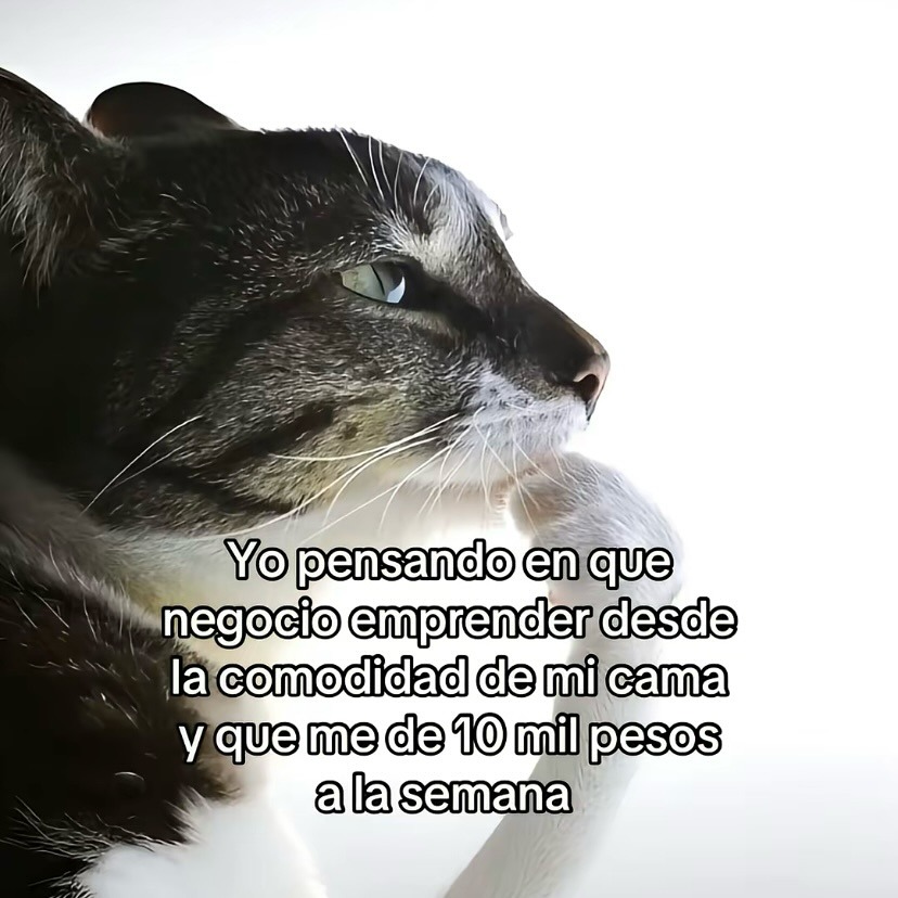 Pensando en emprender desde la cama y ganar 10k a la semana - meme