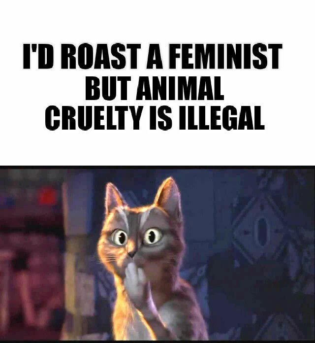 Everybody roast a feminist in the comment section - meme