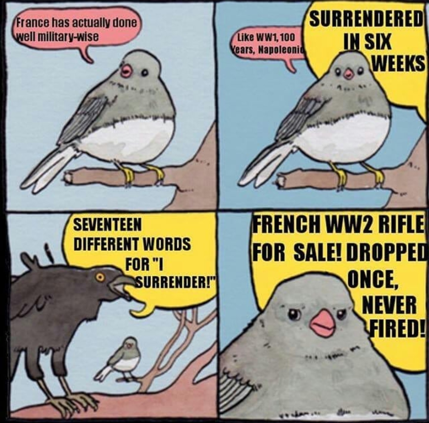 I actually don't hate the french - meme