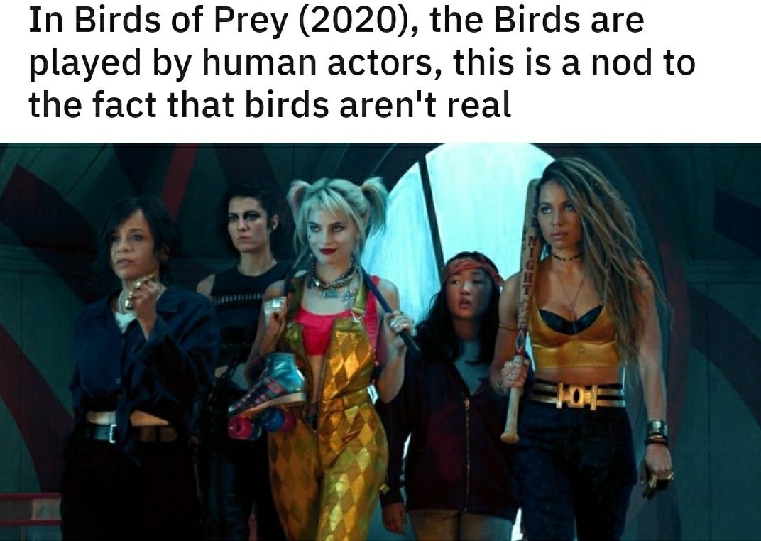 The best Bird Of Prey memes :) Memedroid