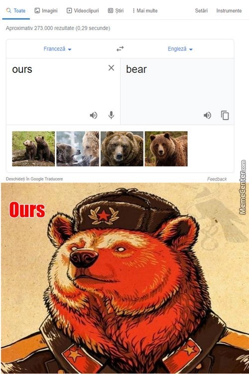 Bear în french - meme