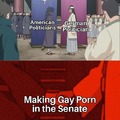 Gay Senate meme