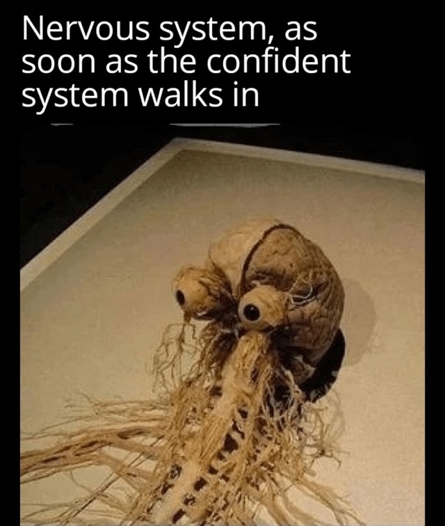 Nervous system meme