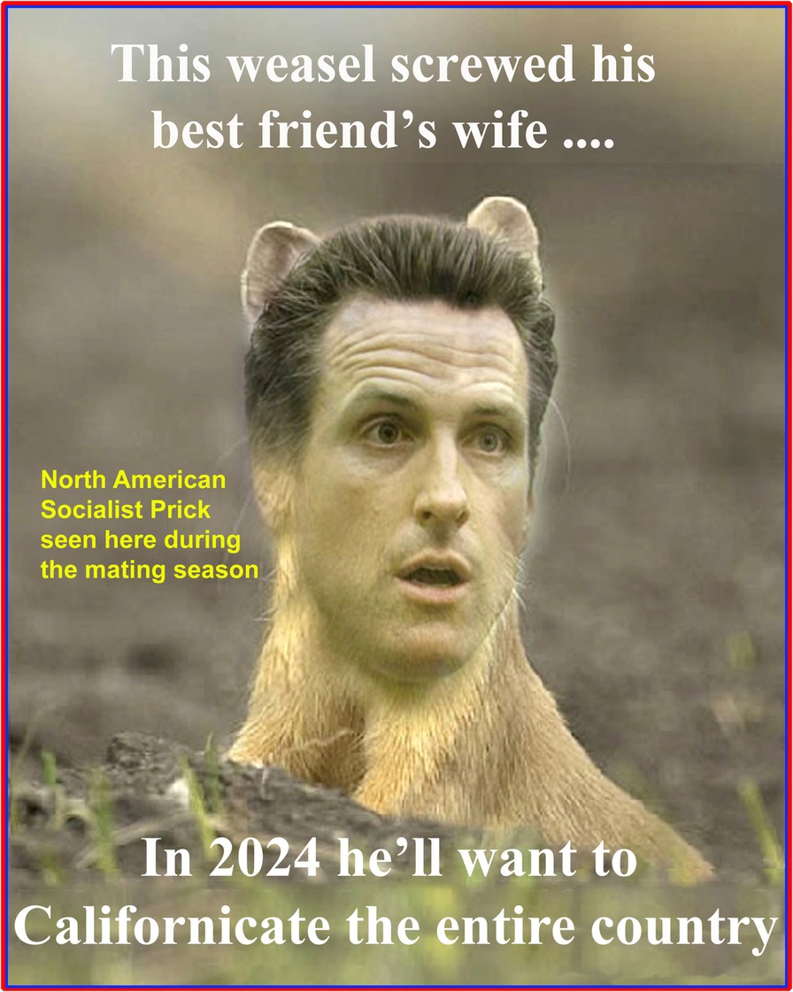 The Weasel Who Would Be President - meme