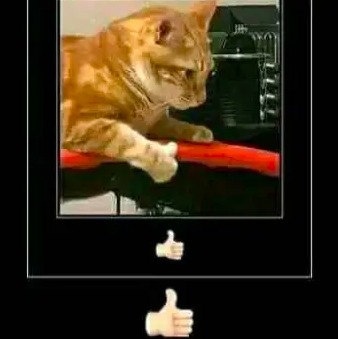 :cool: - meme