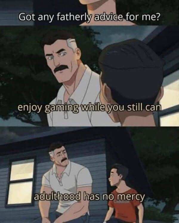 Enjoy gaming now, adulthood patches are brutal - meme