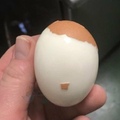 eggdolf