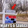 savage mary