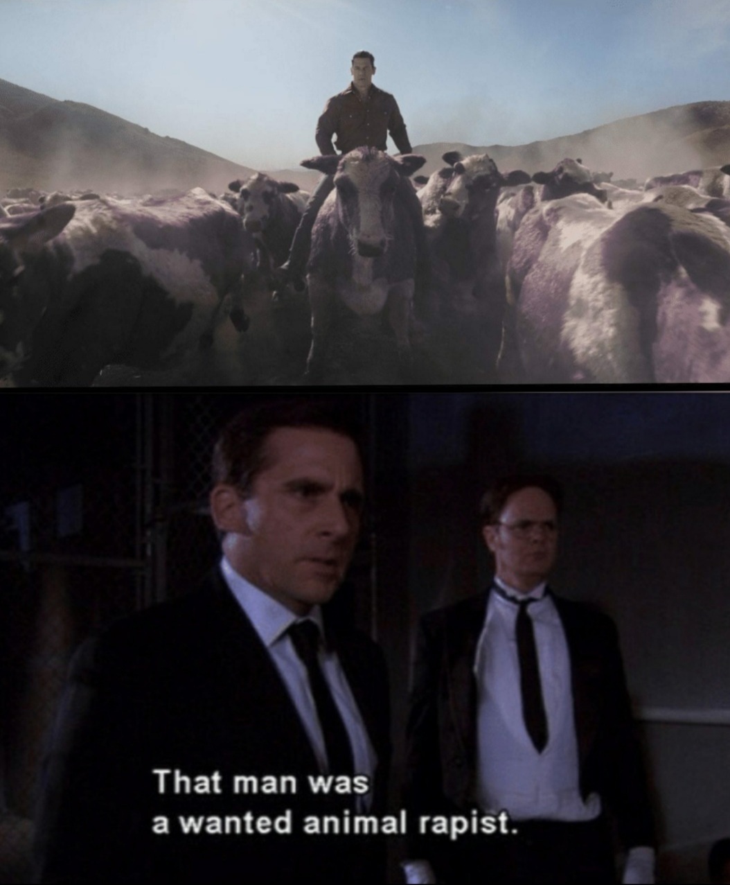 I only see cows? - meme