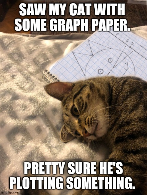 Graphic designer cat - meme