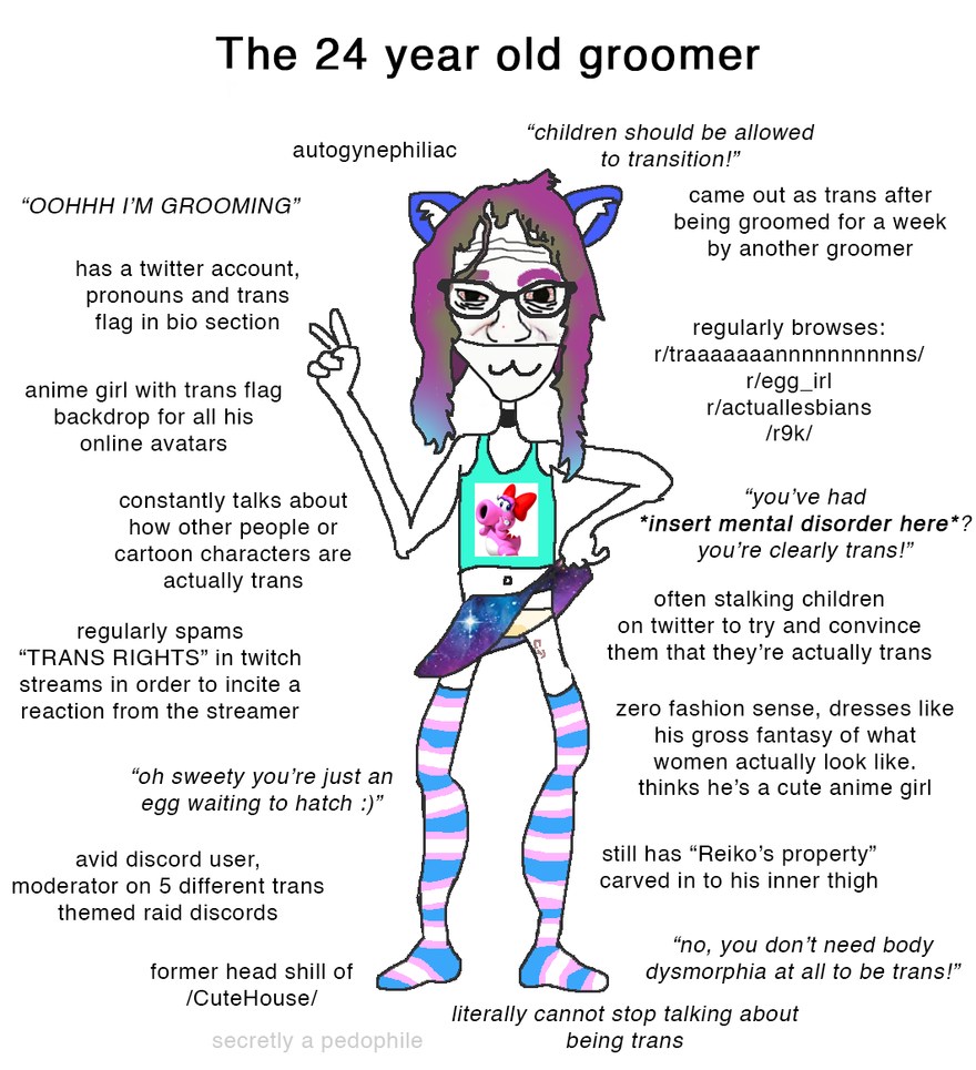 that 24 year old groomer - meme