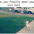 Waiting for my soul mate.........................................