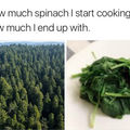 Cooking spinach