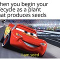Seed